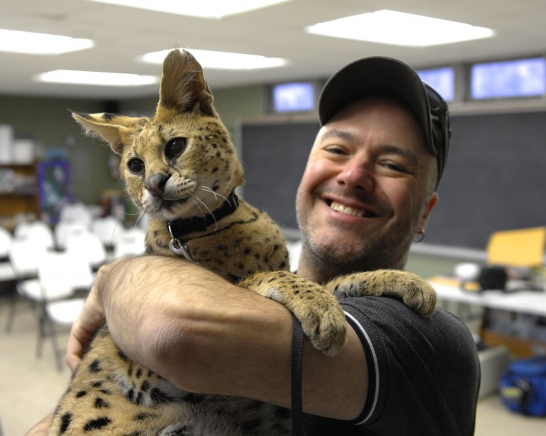 21 Things To Know Before Caring For An African Serval Cat – Tele-Talk